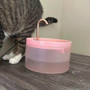 cat water fountain pink